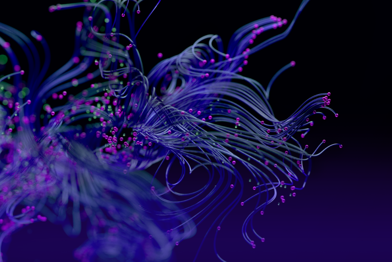 Market Recap & Outlook