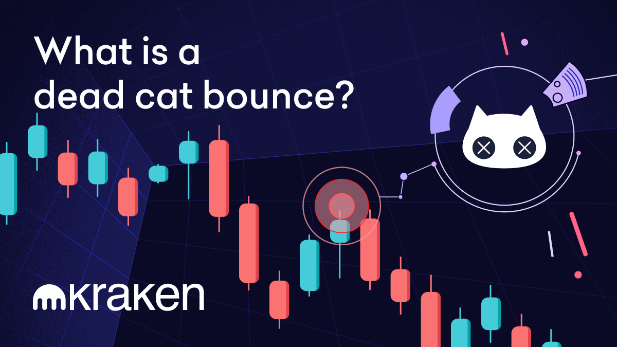 Was Ist Ein Dead Cat Bounce? Kraken Was Ist Ein Dead Cat Bounce? Kraken