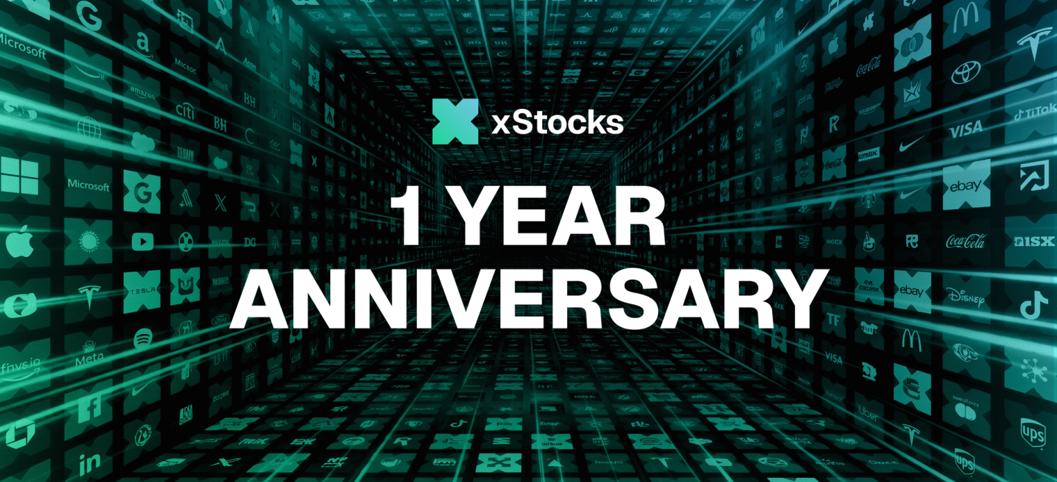 One Year of xStocks