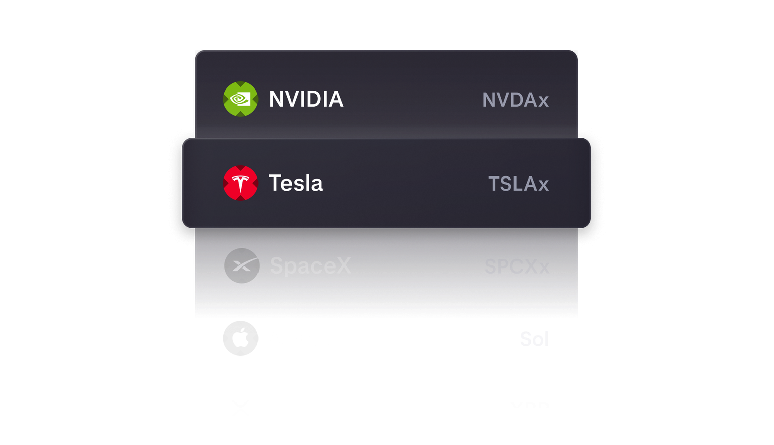Equity exposure - NVIDIA, Tesla, SpaceX and Apple