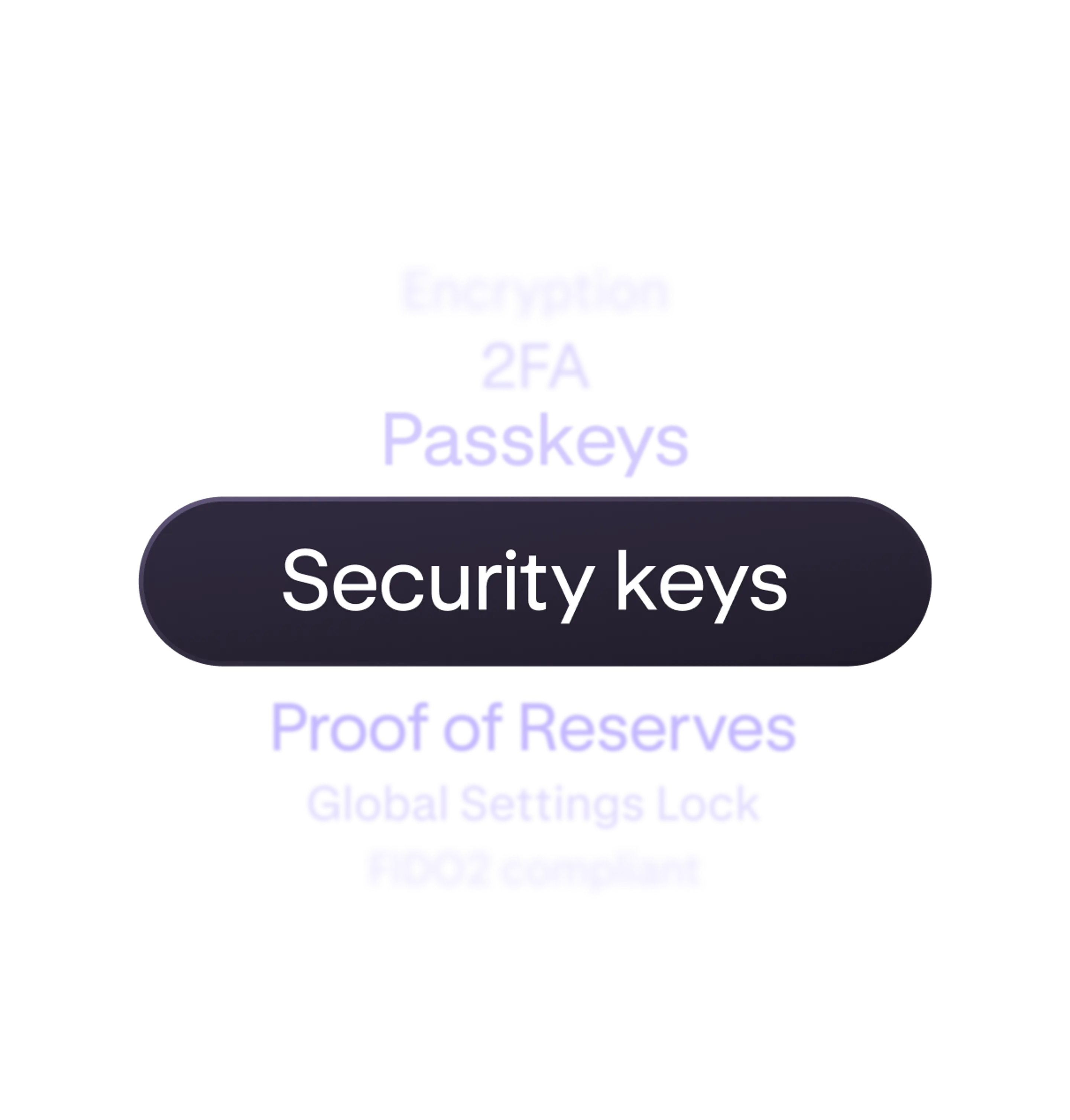 Kraken level security