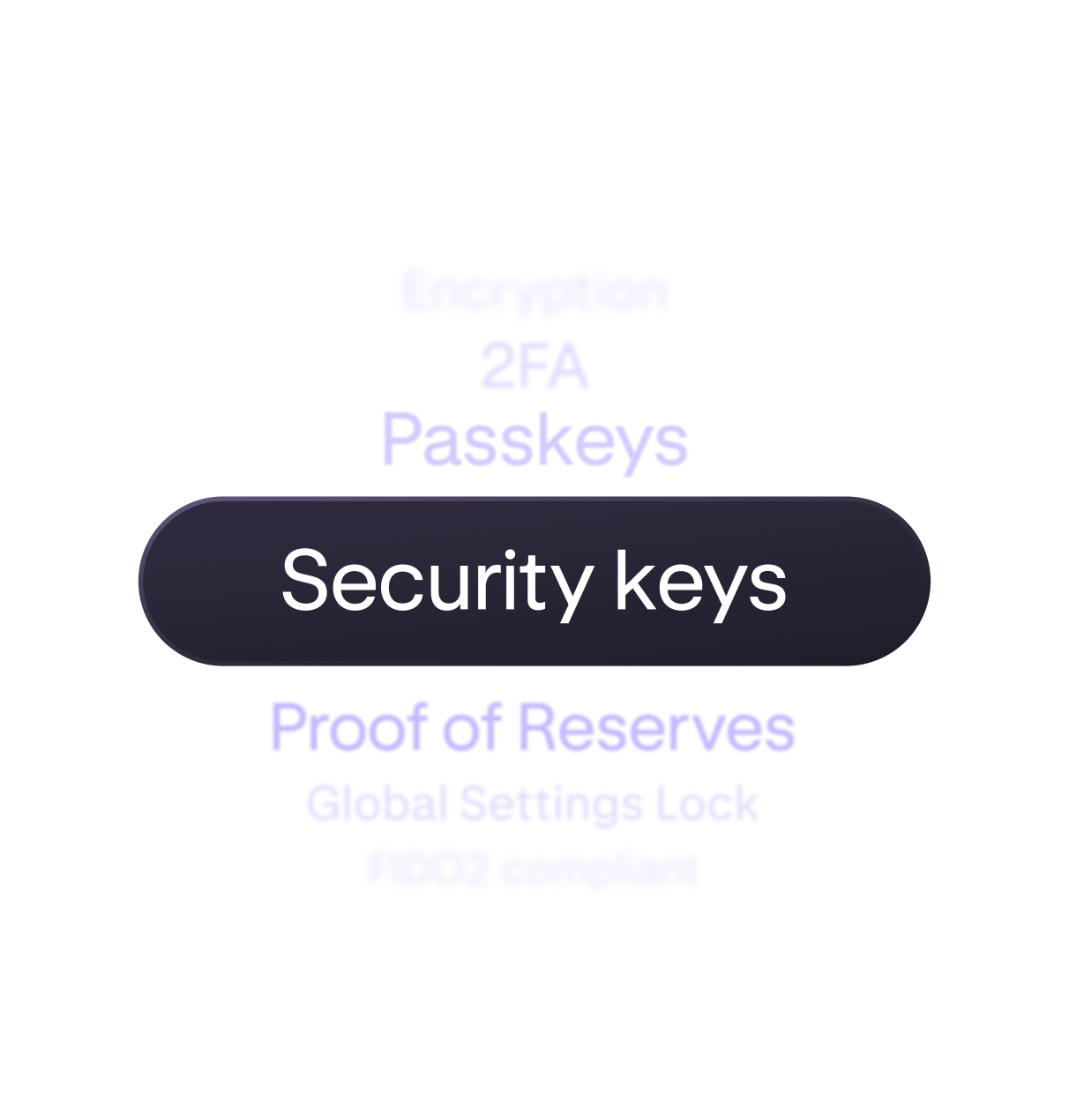 Kraken level security