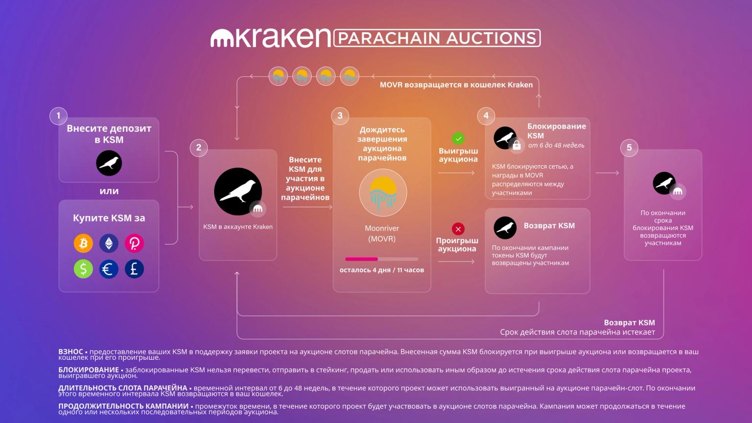 how to participate in parachain auctions