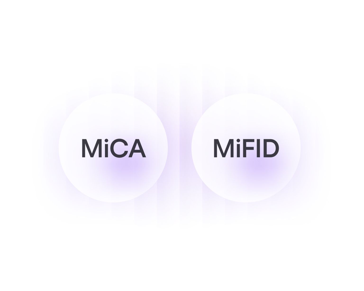 MiCA & MiFID license