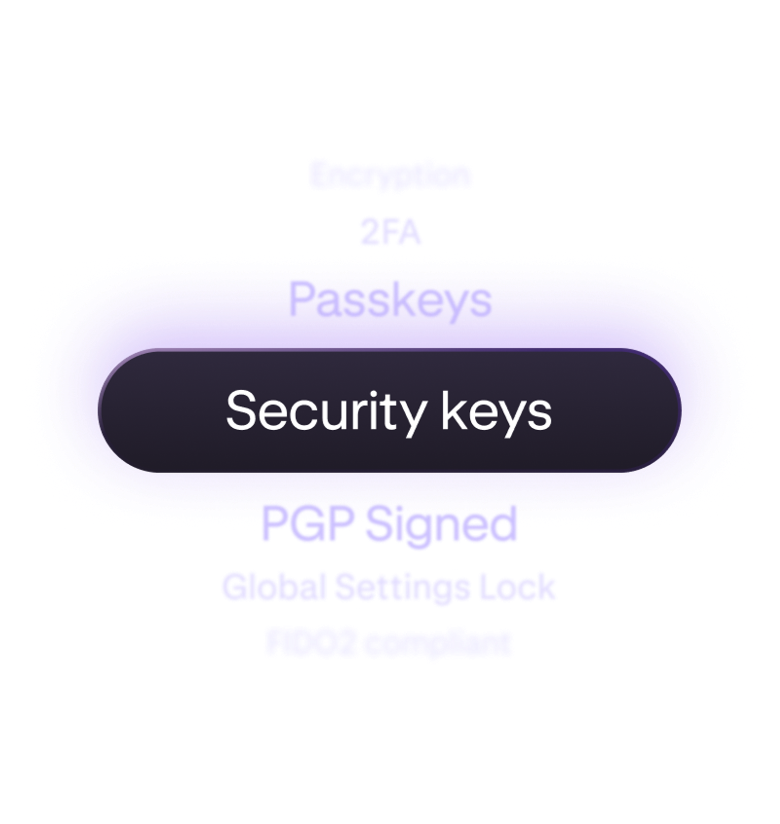 Kraken level security