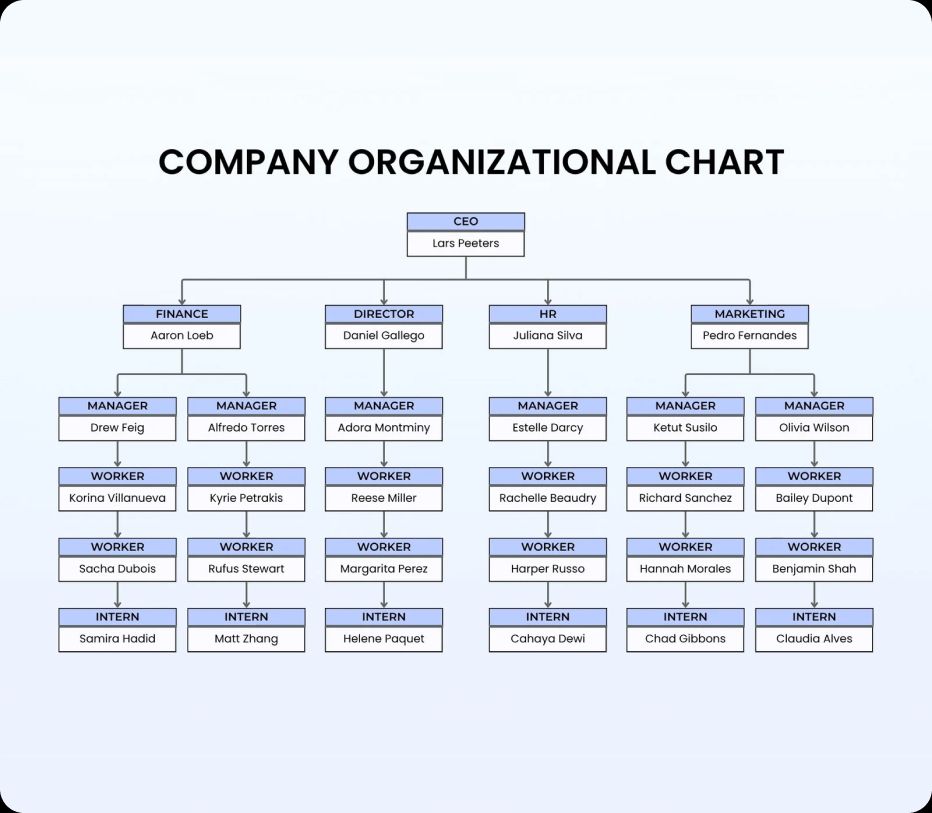 Example of an organizational chart document
