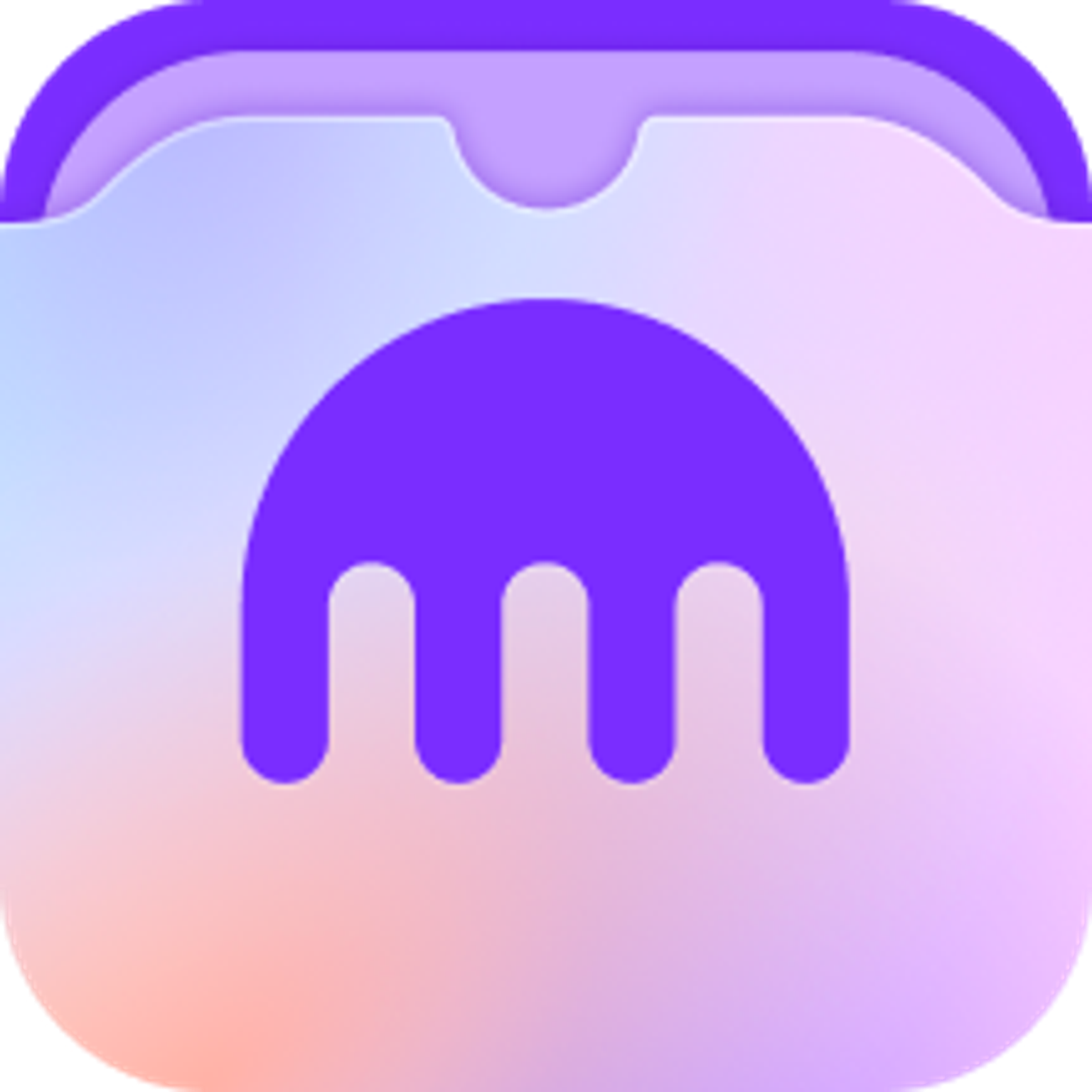 Wallet Icon