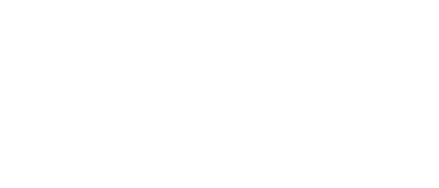 Insilico Terminal Logo