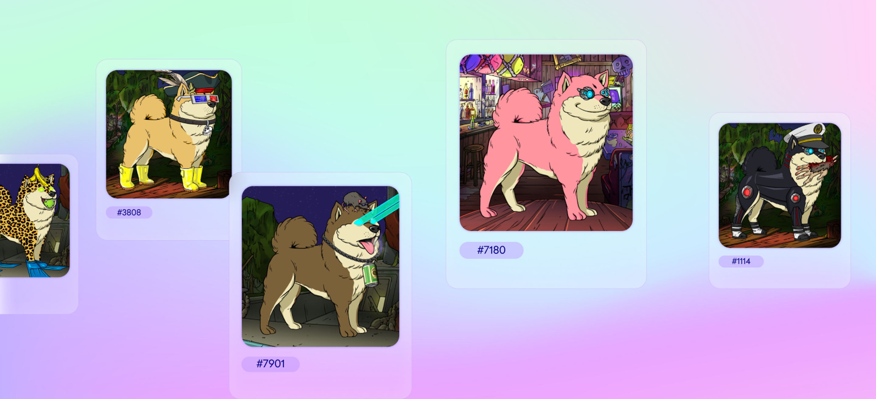 Five Bored Ape Kennel Club NFTs