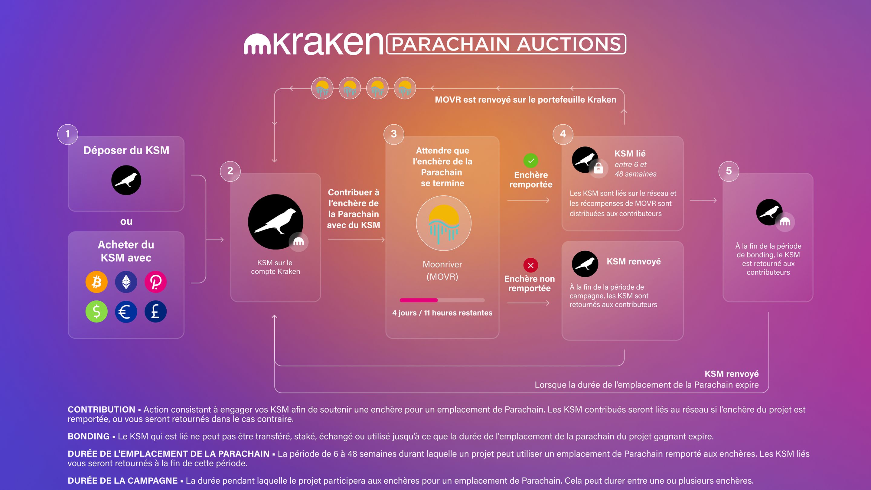 how to participate in parachain auctions